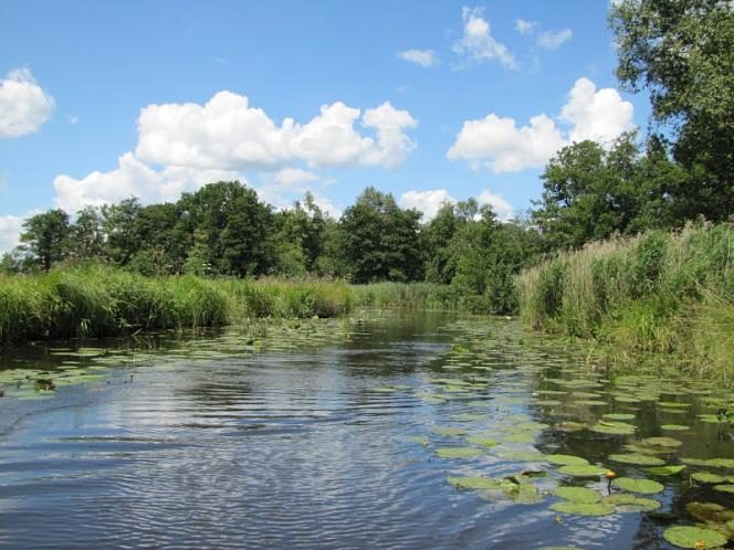 Nationaal Park Weerribben-Wieden
